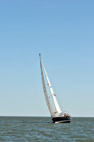 2013 Southern Bay Race Week D 815