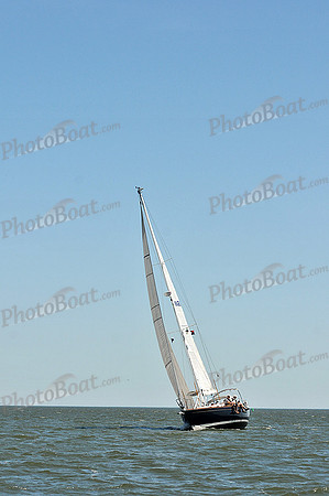 2013 Southern Bay Race Week D 815