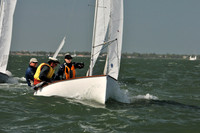 2012 Thistle Midwinters B 798