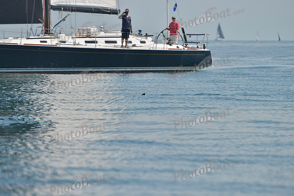 2019 Around Marthas Vineyard B_0191