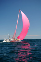 2012 Newport Bermuda 2537