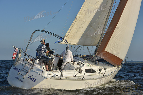 2019 ALIR_2287