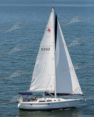 DBP_1539