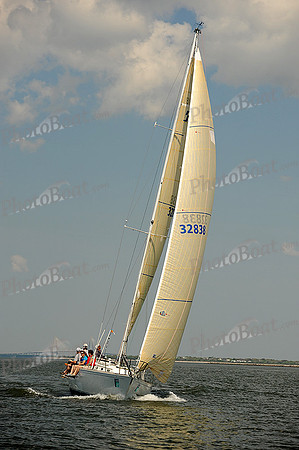 2014 Charleston Race Week A 341