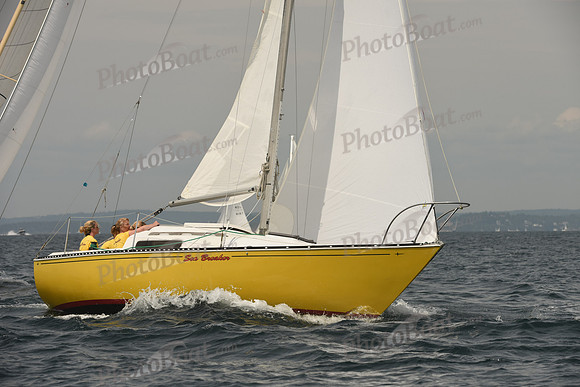 2016 Chester Race Week C_0696