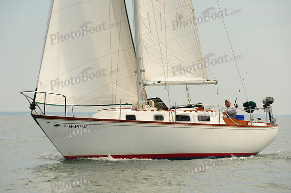2014 Cape Charles Cup B 529