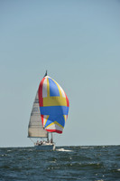 2015 Vineyard Race C 307