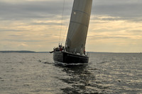 2008 Vineyard Race 313