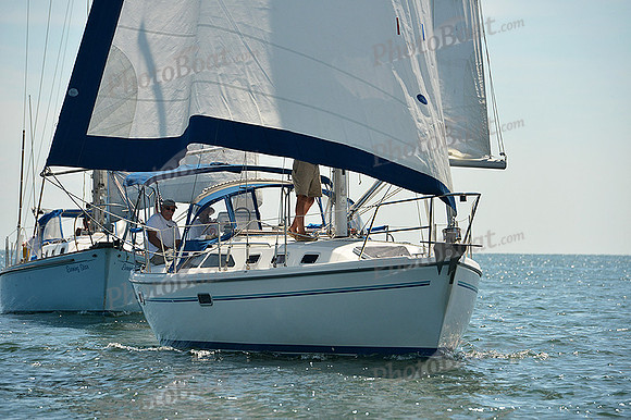 2015 Cape Charles Cup A 913