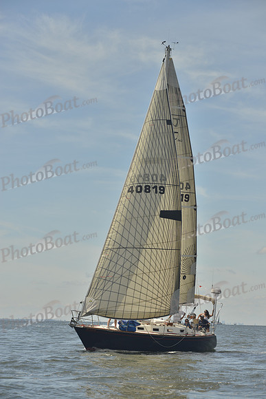 2016 Vineyard Race A_0382