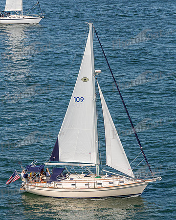 DBP_1381