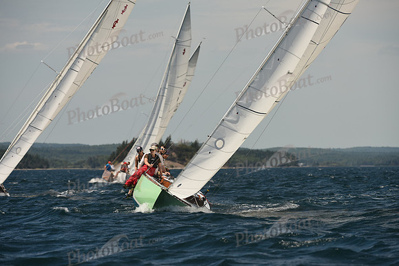 2016 Chester Race Week A_1188