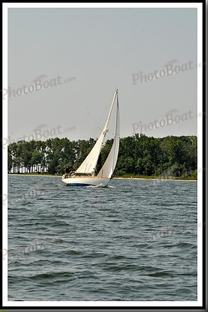 proof_2010 Gov Cup D 561