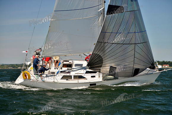 2017 Vineyard Race A_0189