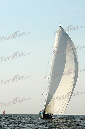 2013 Vineyard Race A 1679