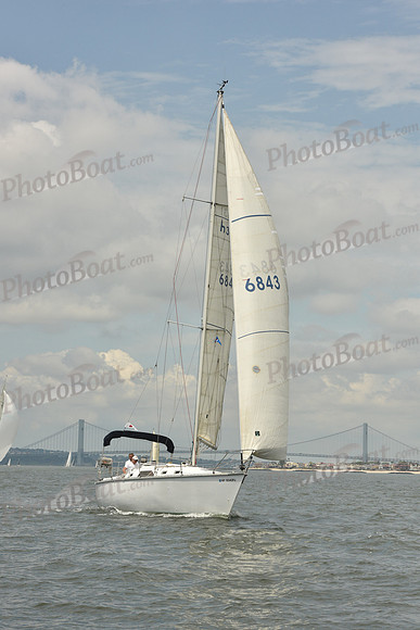 2018 ALIR_1283