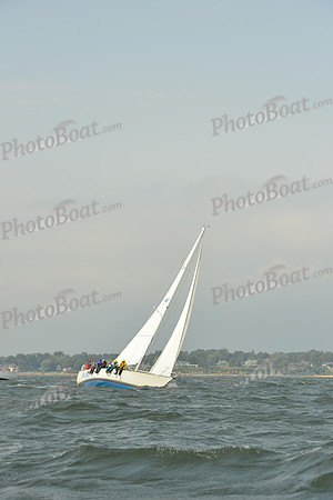 2015 Vineyard Race A 569