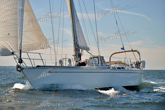 2017 Vineyard Race A_0510