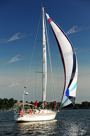 2015 Gov Cup D 268