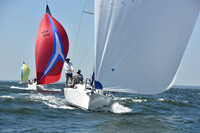2019 Vineyard Race A_0626