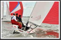 proof_2010_EScows_A 908