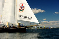 2014 Newport Bermuda A 151