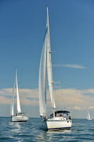 2015 Cape Charles Cup C 498
