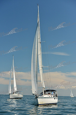 2015 Cape Charles Cup C 498
