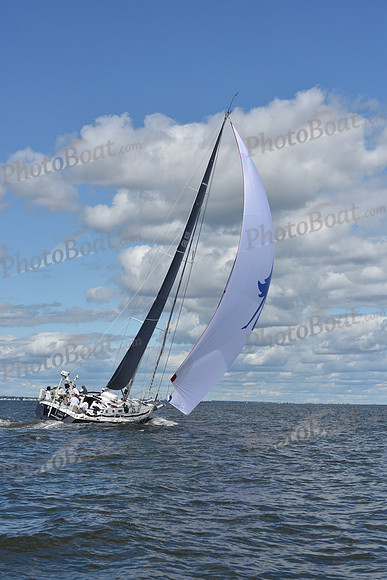 2021 Vineyard Race A 2164
