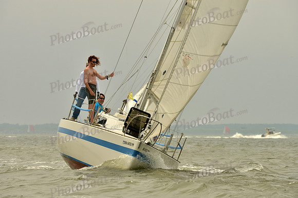 2016 Southern Bay Race Week A_1163
