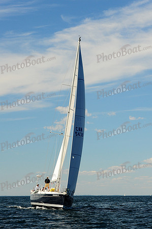 2014 Newport Bermuda A 1796