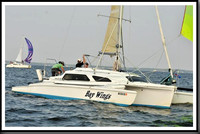 proof_2010 Gov Cup A 311