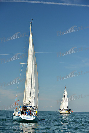 2015 Cape Charles Cup C 247