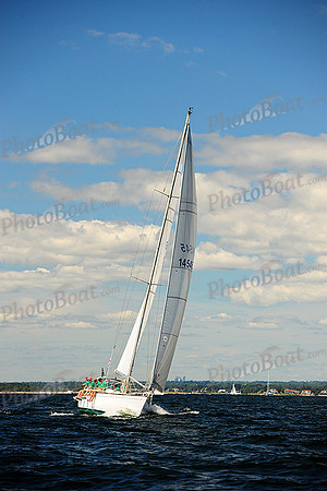 2014 Vineyard Race A 175