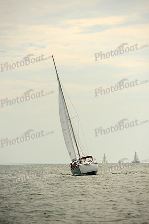 2014 Cape Charles Cup B 466