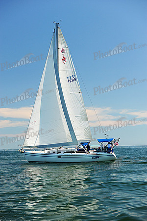 2015 Cape Charles Cup B 270