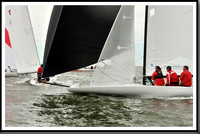 proof_2010_EScows_A 919