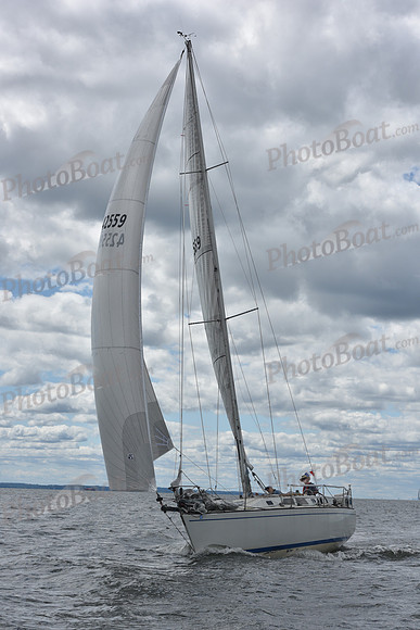 2021 Vineyard Race A 0881