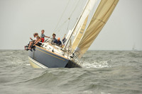 2015 Vineyard Race A 225