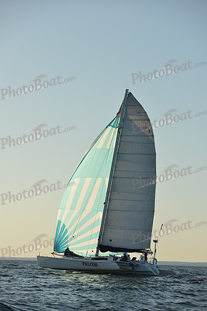 2015 Vineyard Race C 779