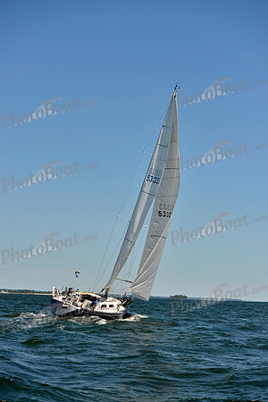 2017 Vineyard Race A_0714