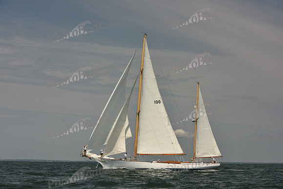 2018 Vineyard Cup A_1250