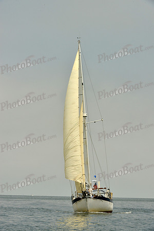 2016 Southern Bay Race Week E_0463