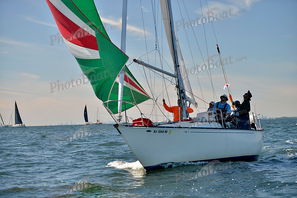 2017 Vineyard Race A_0243