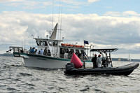 2010 IRC LIS 521