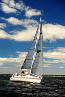 2014 Vineyard Race A 504