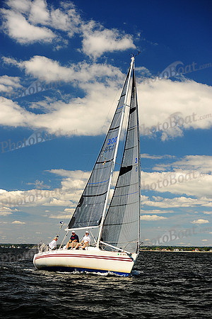 2014 Vineyard Race A 504