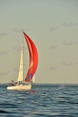 2015 Gov Cup B 236