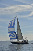 2016 Vineyard Race A_0426
