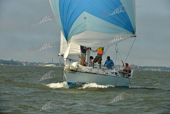 2016 Southern Bay Race Week B_0762